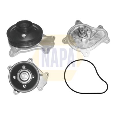 Napa NWP1534 Water Pump, engine cooling - 1