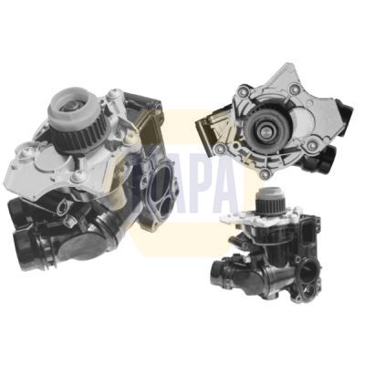 Napa NWP1552 Water Pump, engine cooling - 1