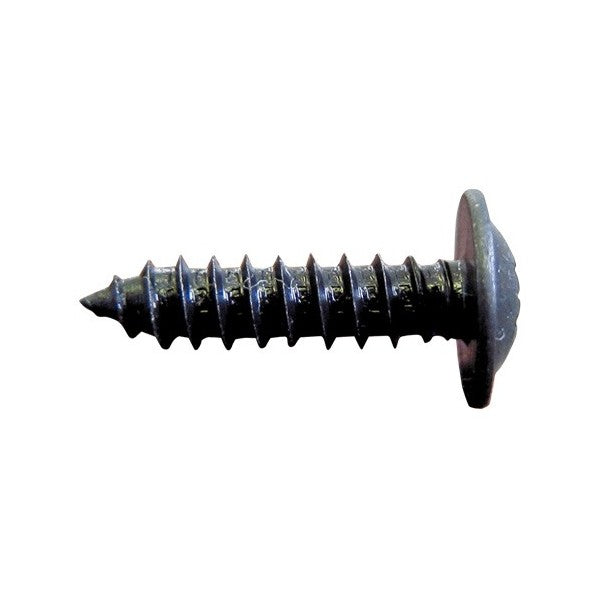Screw 10 x 3/4in. Black Ab - Pack of 100