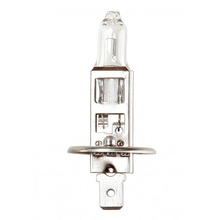 Halogen Bulb - 12V 55W H1 P14.5s - Headlamp