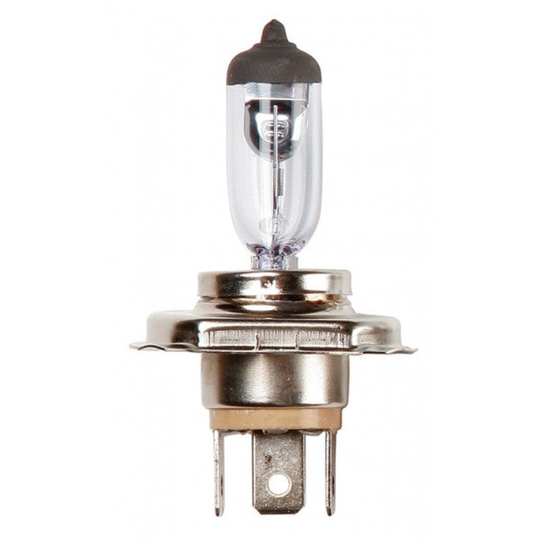 Halogen Bulb - 12v 60/55w H4 P43t - Headlamp