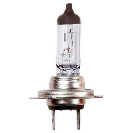 Halogen Bulb - 12V 55W H7 Px26d - Headlamp