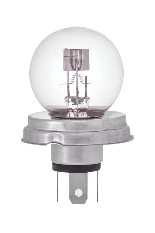Ring R423 Bulb, direction indicator - 1