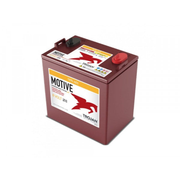 Trojan T875-Aes Battery 8V 158AH