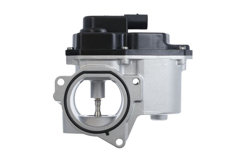 Valeo 700424 EGR Valve - 1