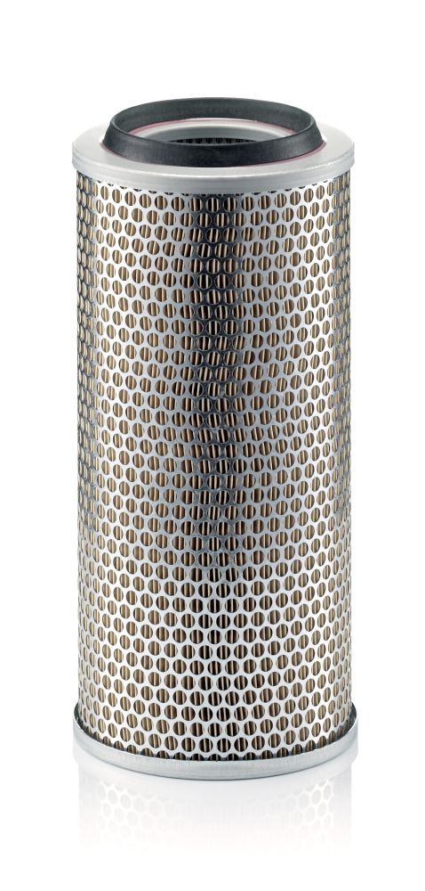 Air Filter - C 17 225/3
