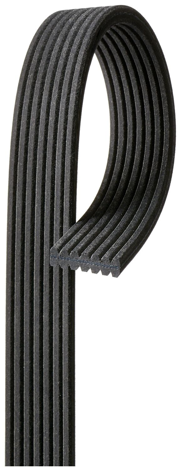 V-ribbed Belt - 7DPK2884