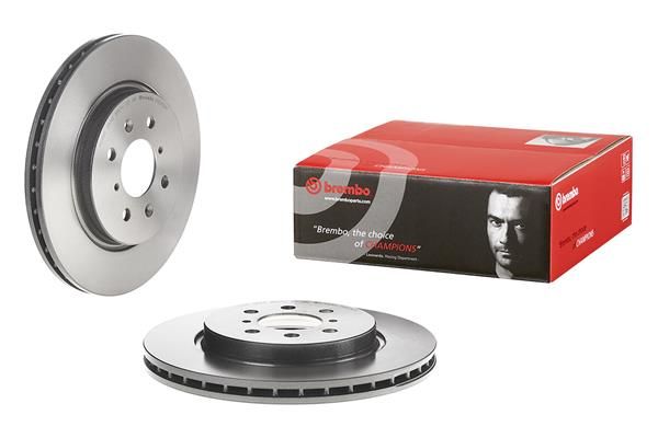 Brake Disc - 09.D252.11