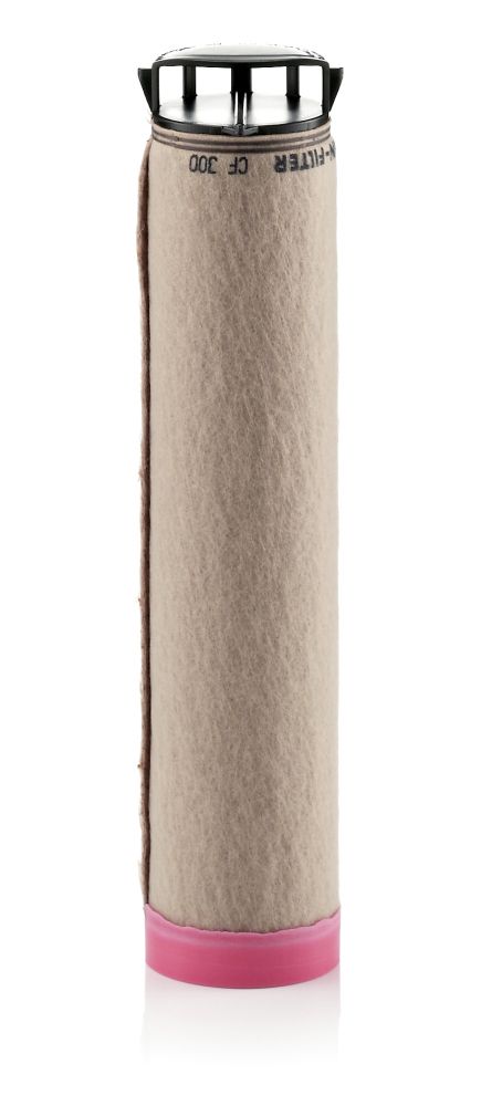 Secondary Air Filter - CF 300