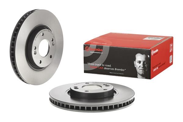 Brake Disc - 09.D210.11
