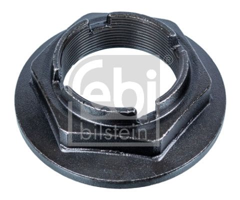 Nut, kingpin - 107430