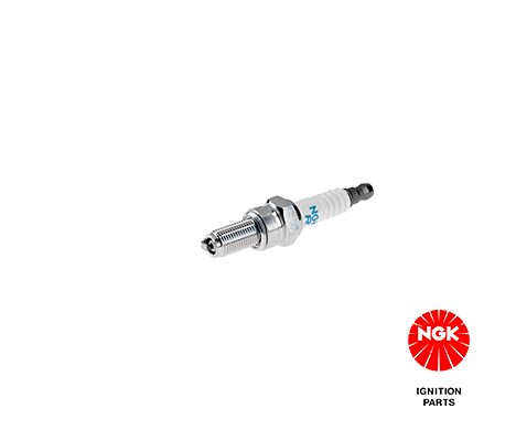 Spark Plug - 6955