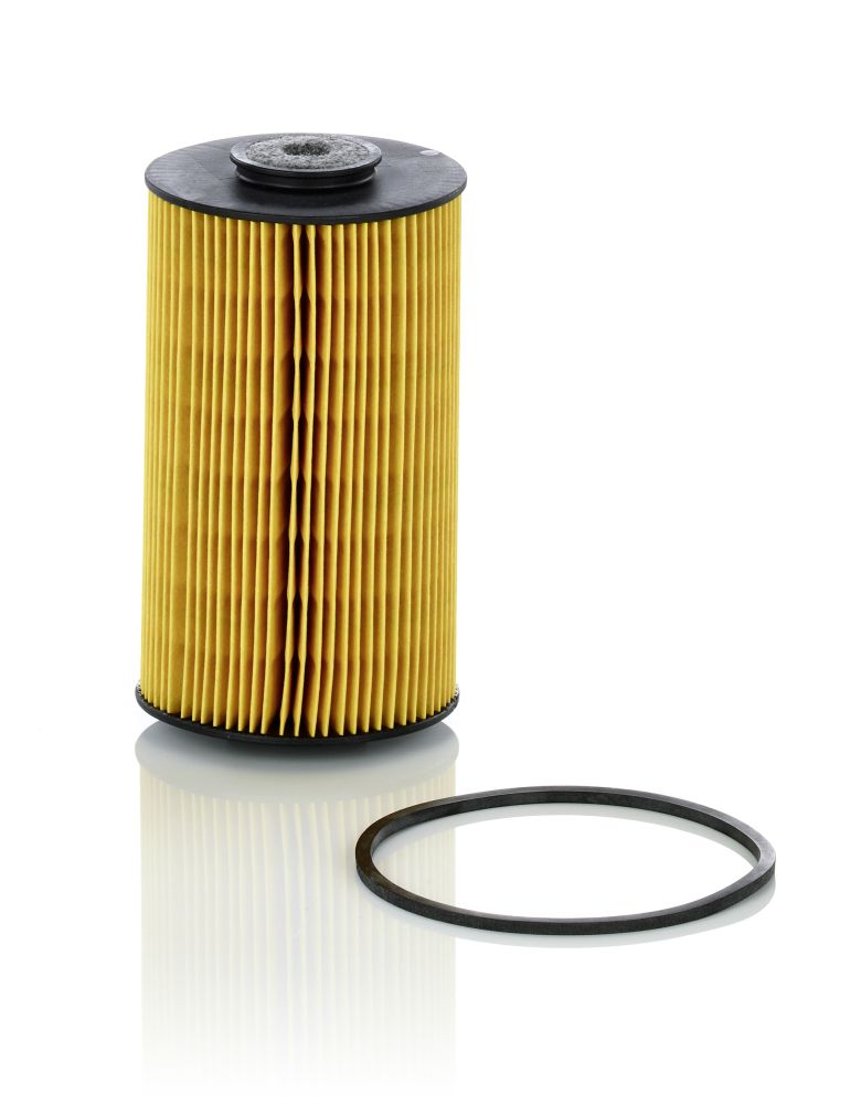 Fuel Filter - P 811 x