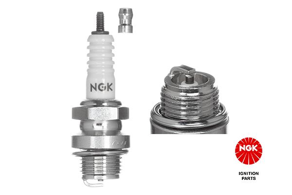 Spark Plug - 2910