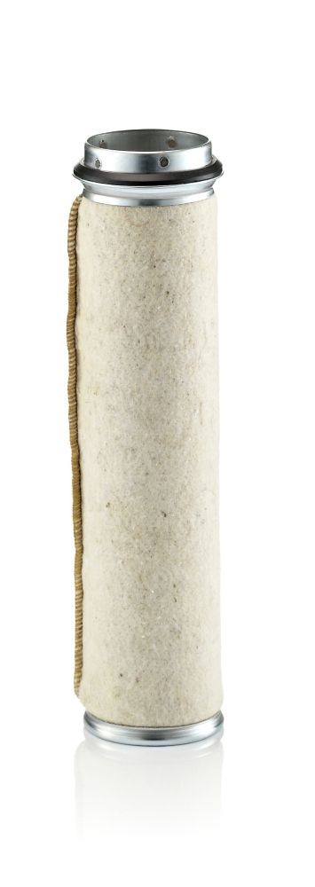 Secondary Air Filter - CF 800