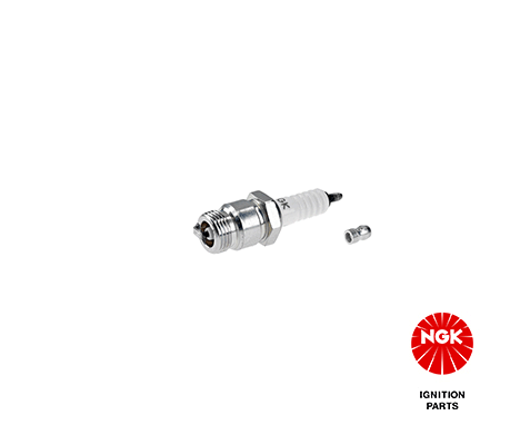 Spark Plug - 4489
