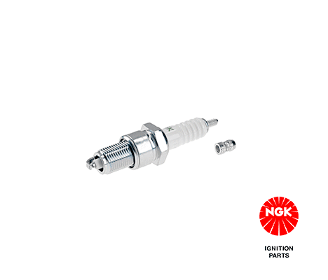 Spark Plug - 4669