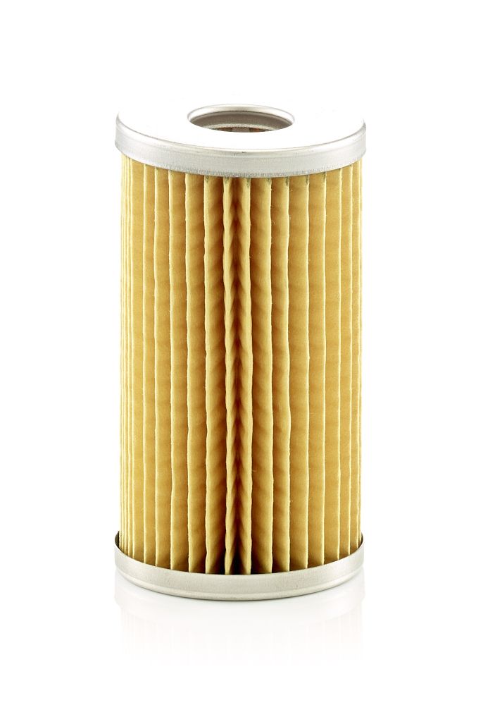 Fuel Filter - P 5006