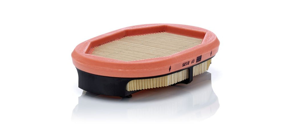 Secondary Air Filter - CF 2125