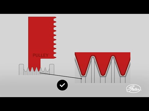 Gates 5PK1163 V-ribbed Belt video
